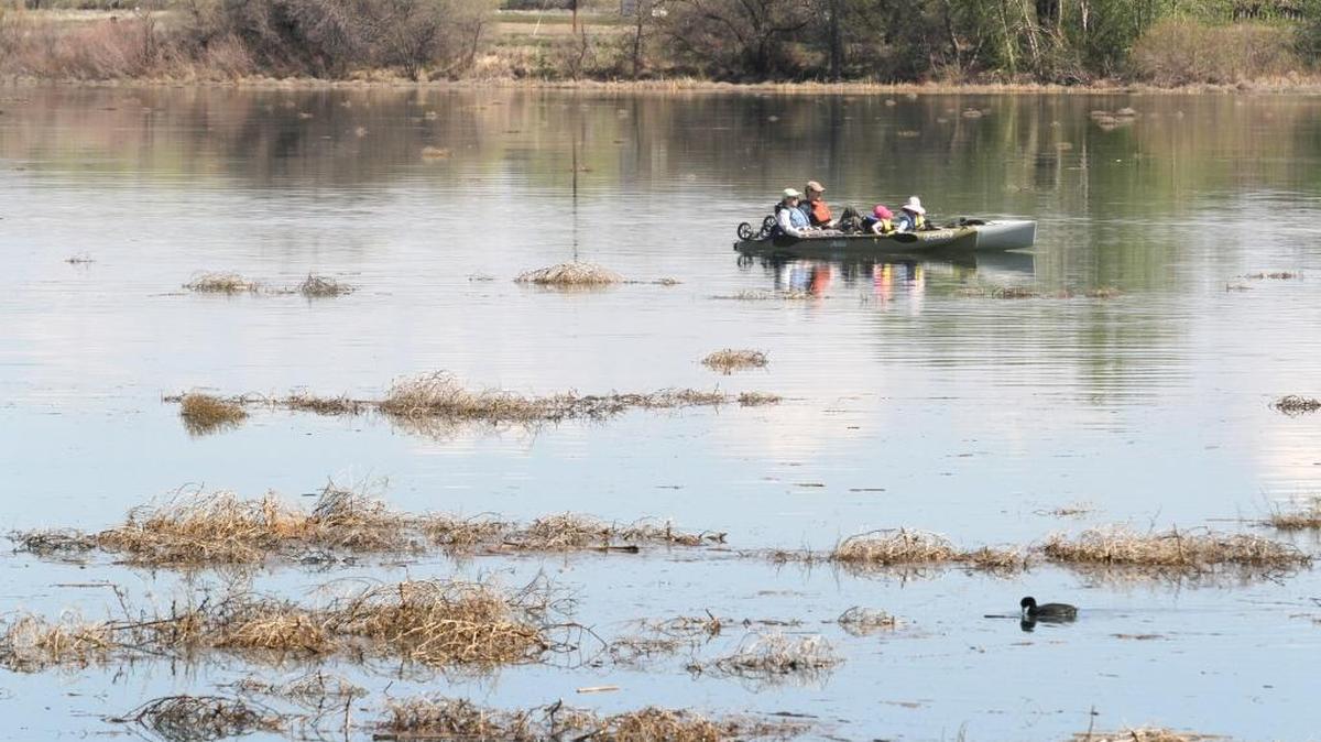 Boaters and others should watch out for floating debris in the Snake and Columbia rivers as dam operators spill water to float logs and smaller woody debris away from powerhouses.