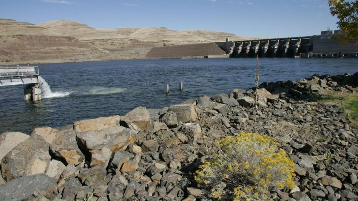 Little Goose Dam on the Snake River.