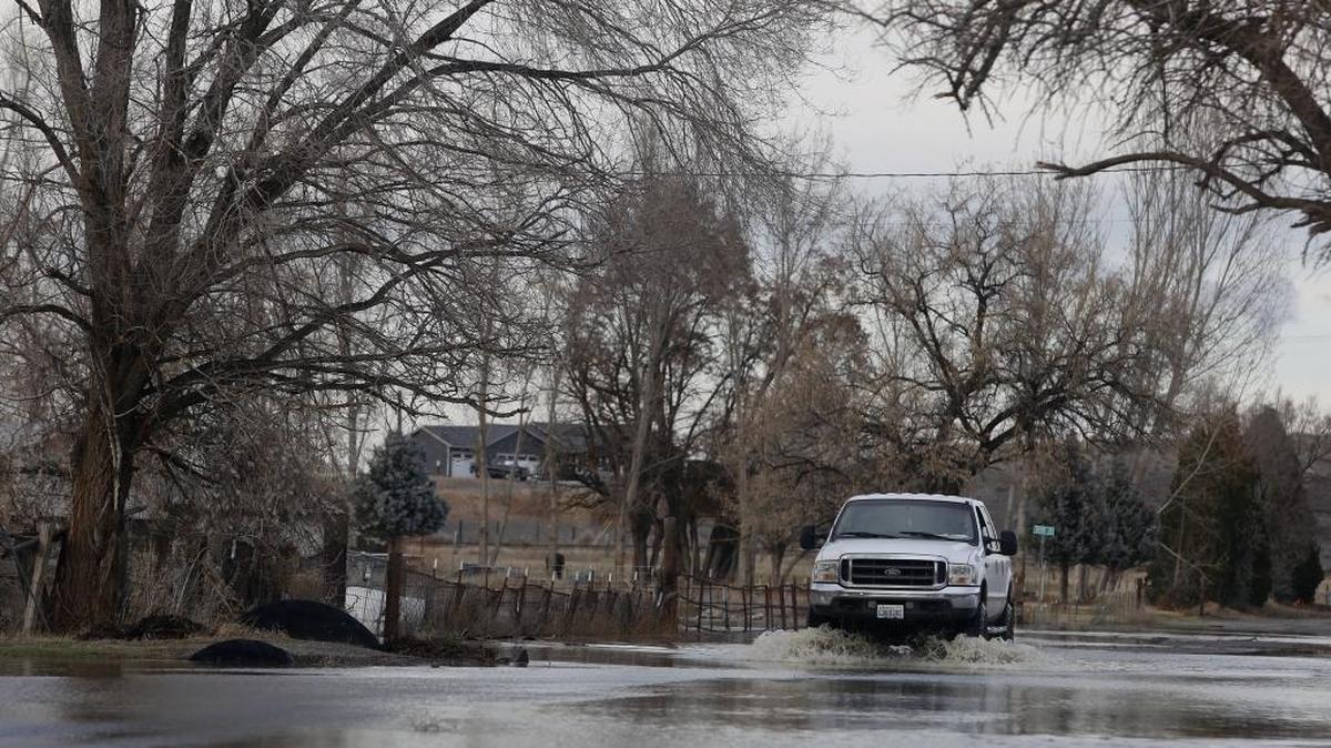 A truck drives through high water on Jones Road on Friday afternoon in Richland. The Yakima River reached moderate flood stage Friday, cresting at about 15 feet, according to the National Weather Service. High water levels are expected to fall below flood state by Sunday, according to Benton County Emergency Management.