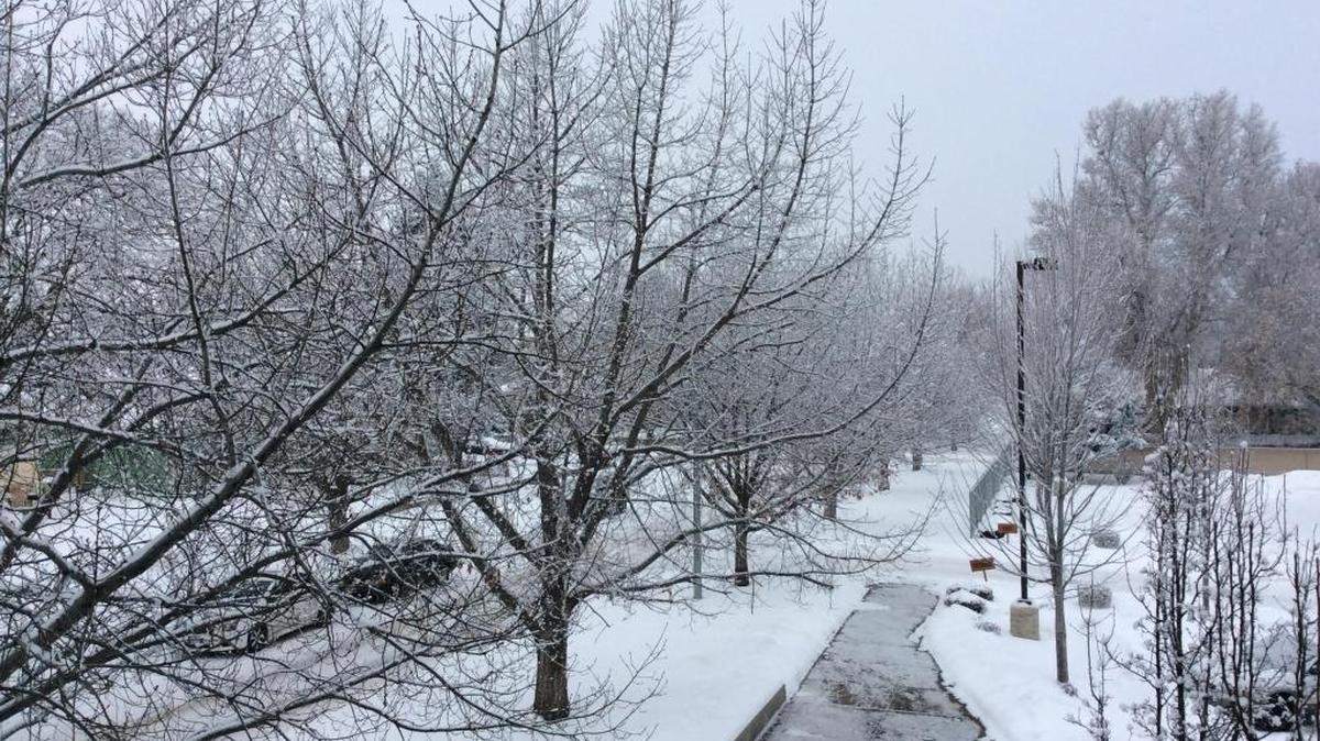 The Tri-Cities received a new dusting of snow Saturday morning.