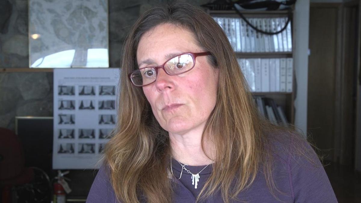Deborah Giles, research director at the Center for Whale Research, is worried about what the next decade holds for the endangered southern resident killer whales. The mammals share the Puget Sound with millions of peoples, thousands of boats but just a fraction of the salmon that historically have been its main food source.