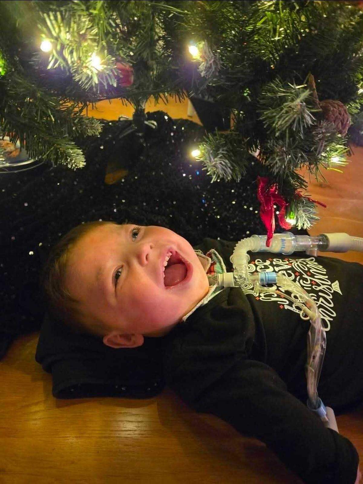 Avery Henderson enjoying lights on a Christmas tree.