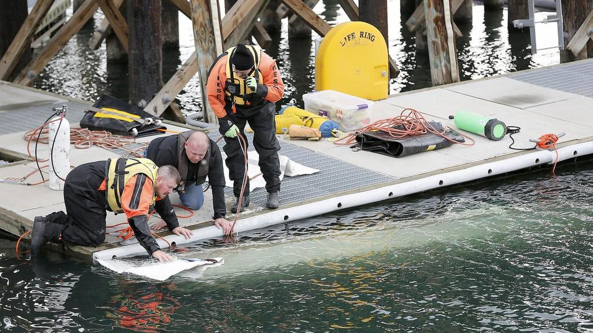 Columbia Basin Dive Rescue members attach a flotation bag to a submerged boat Thursday morning at the docks of the U.S. Coast Guard Station on Clover Island in Kennewick. The derelict vessel was recently towed to the fuel dock at Clover Island but filled with water and sank during recent rainstorms. The Benton County Sheriff’s Office was going to tow it away after it surfaced.
