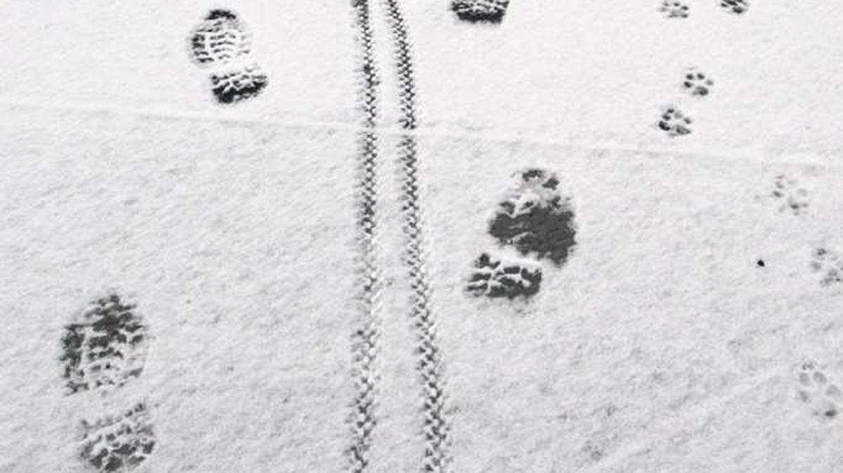 Any snowfall early this week in the Tri-Cities is expected to be light, according to the National Weather Service.