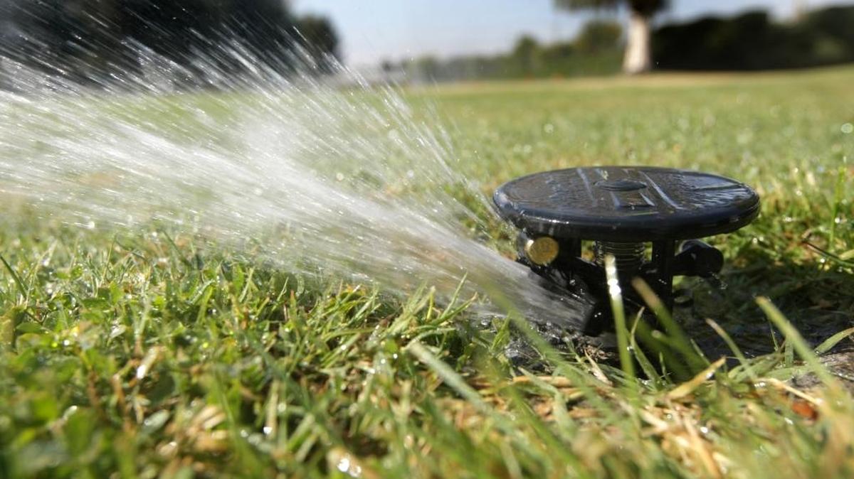 
Irrigation districts soon will be shutting off water to their canals for the season.
