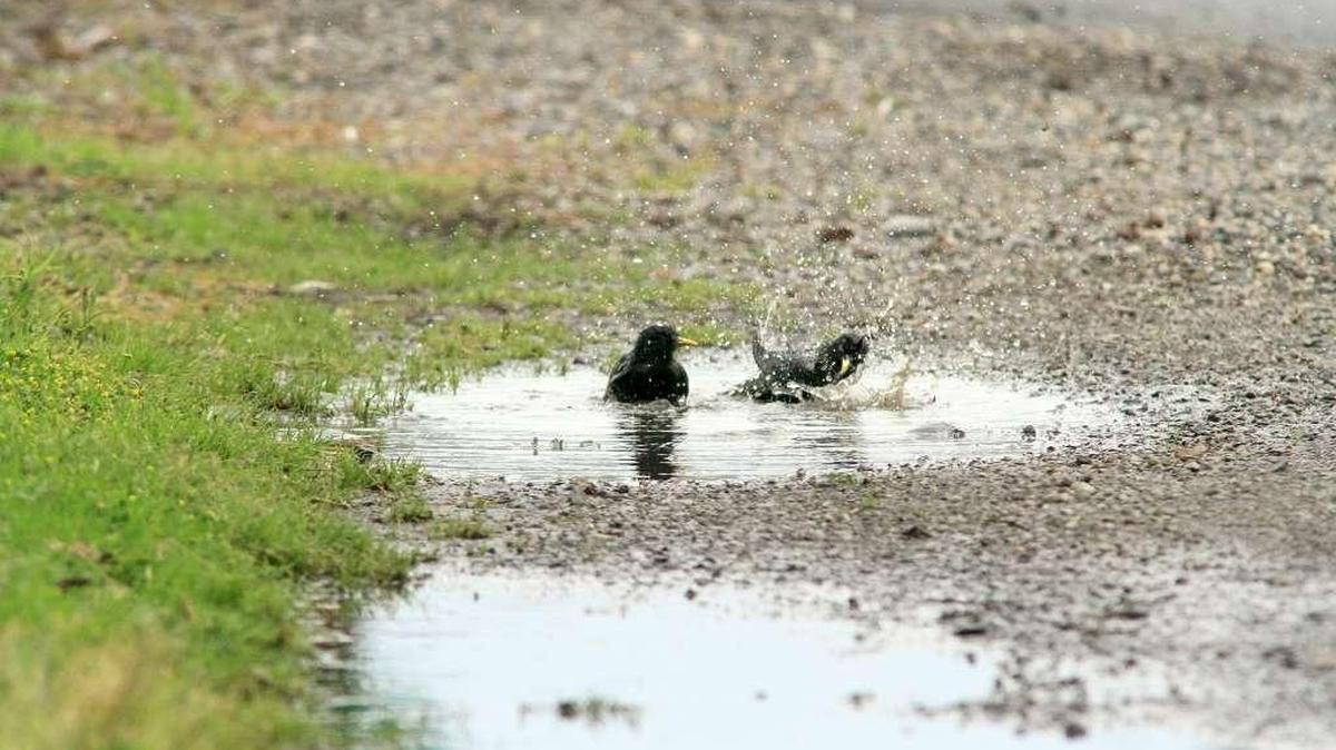 Record amounts of rainfall were recorded in the Tri-City area Sunday, with the rain continuing through early Monday morning.