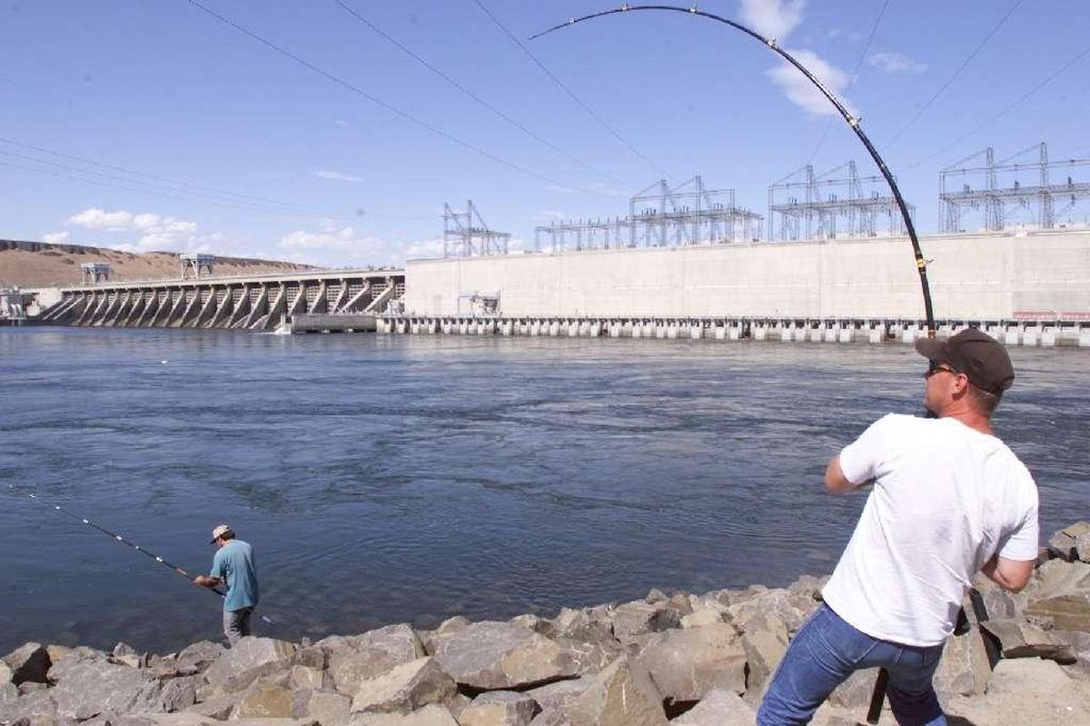 Fishery managers in Washington and Oregon are concerned the spring and summer chinook salmons runs on the Columbia River are going to be one of the lowest on record.
