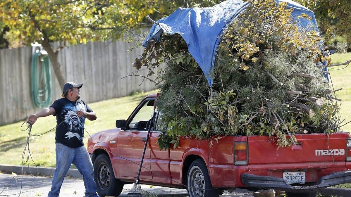 George Garcia winds up to toss a rope over a stack of tree trimmings filling the bed of his pickup Monday near the intersection of West 15th Avenue and Columbia Center Boulevard in Kennewick. Garcia and Tamara Pearl, not shown, said they were finishing up a landscaping job and preparing to haul the branches to the landfill.
