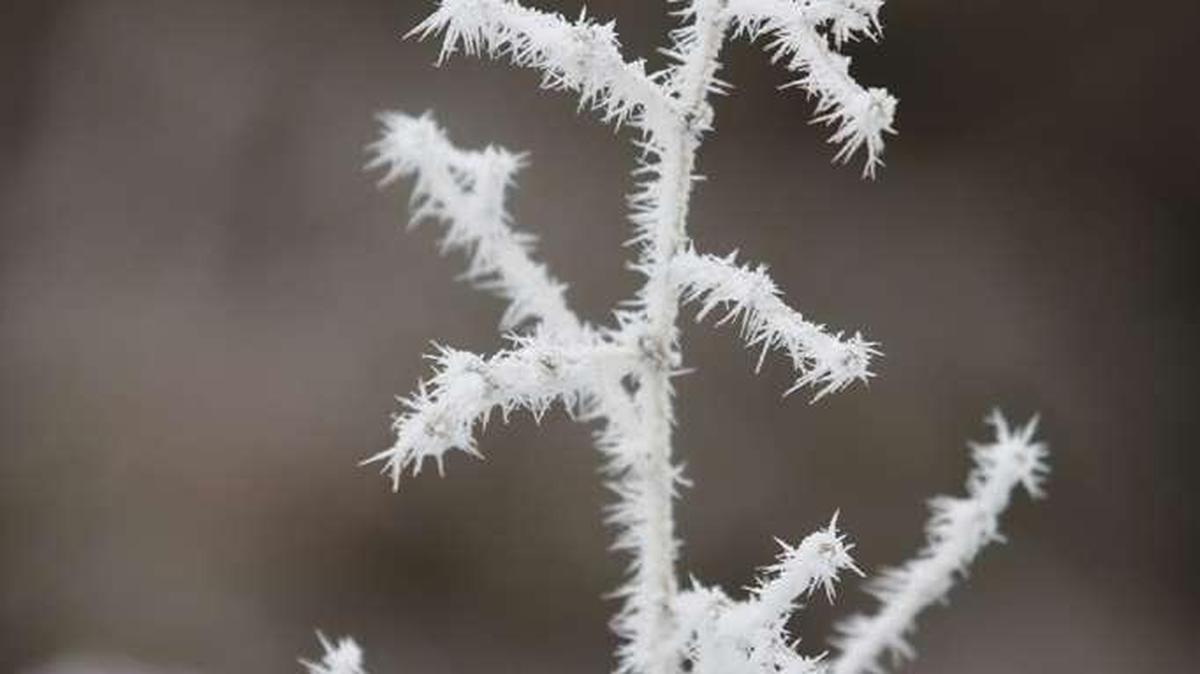 Freezing rain, freezing fog and snow are all possibilities for the Tri-Cities through Wednesday night.