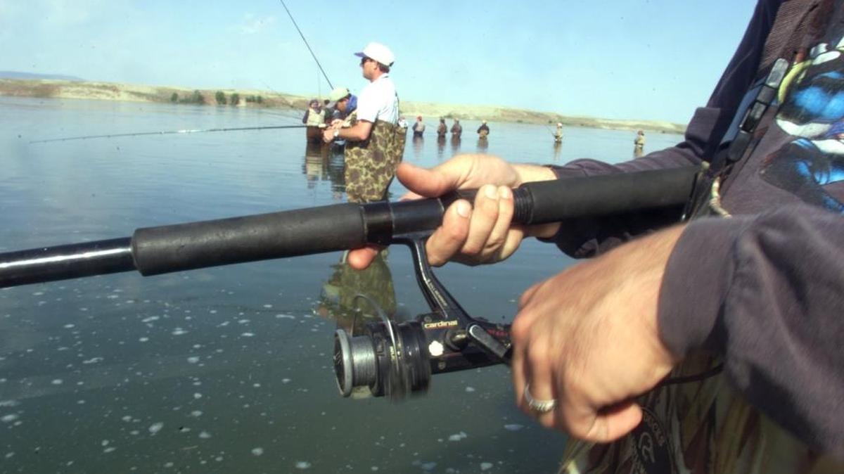 Salmon fishing in the Tri-Cities area of the Columbia River has been fairly slow as chinook and sockeye runs have lagged so far this season.