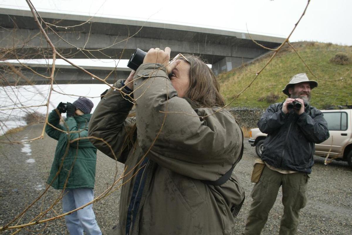 Volunteers are needed for the Christmas Bird Count organized by the National Audubon Society’s Science Center annually since 1900.