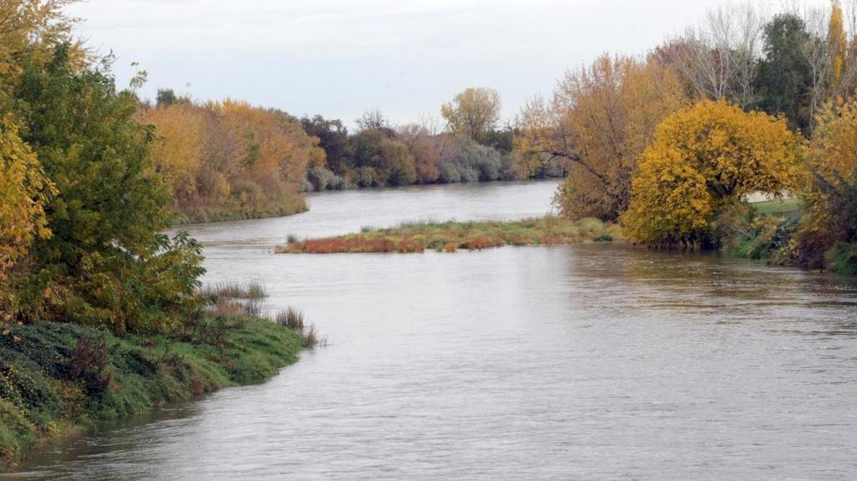 Fall foliage on the Yakima River near West Richland.