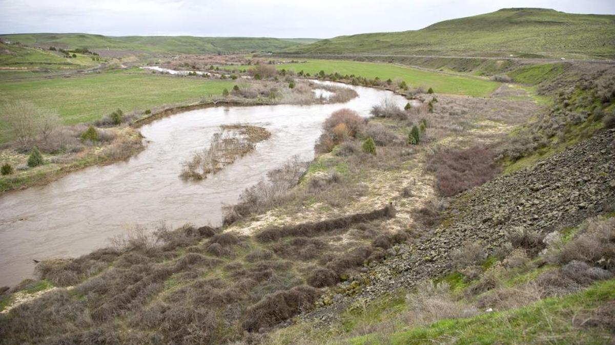 The Walla Walla River was flowing high and brown west of Touchet and Nine Mile Hill on Wednesday afternoon.