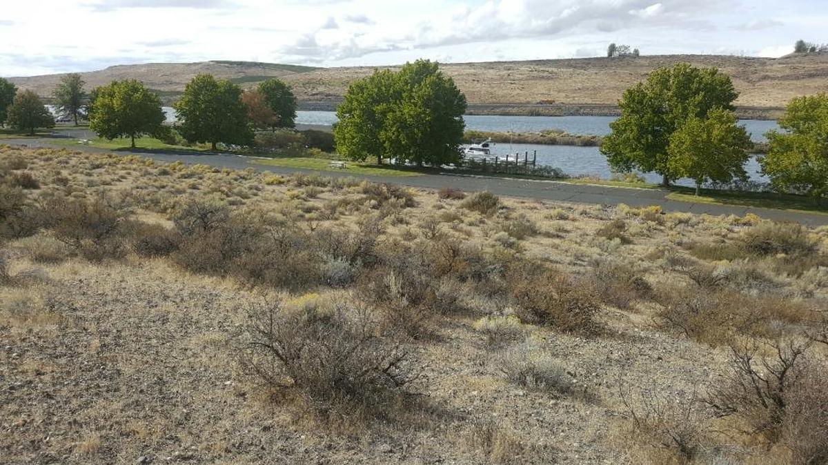 The site of a proposed campground next to the Crow Butte Marina in south Benton County is shown.