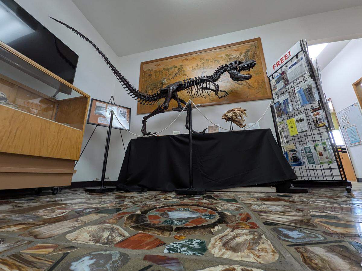 The Museum at Keewaydin, operated by the East Benton County Historical Society, features multiple exhibits and a unique petrified wood flooring.