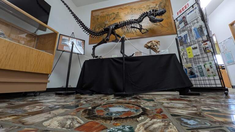 Could new city hall spell the end of a 40-year-old Tri-City museum?