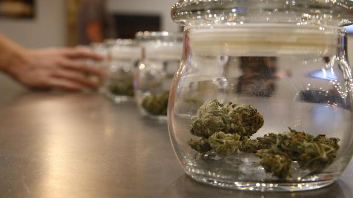 Enforcement officers with the Washington State Liquor and Cannabis Board searched Dank’s Wonder Emporium on Martin Way East this week.