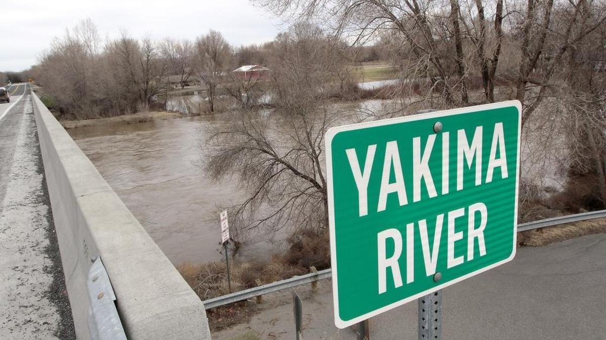 The swollen Yakima River is expected to rise to about 11 feet near the Tri-Cities this week.