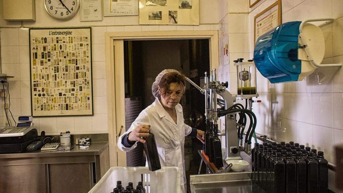 Italy’s growers wary of olive oil fraud