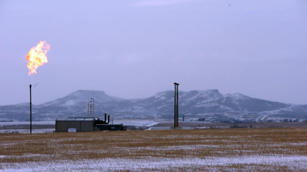 A gas flare is seen at a natural gas processing facility near Williston, N.D.