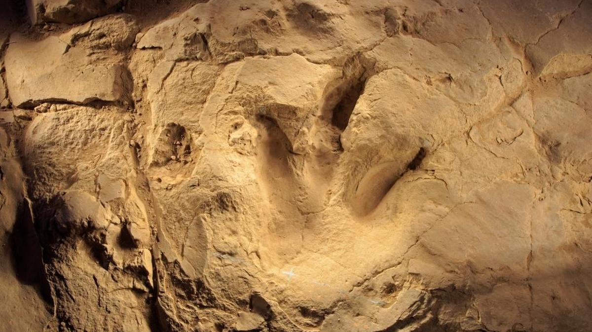 A three-taloned print of a theropod, a carnivore, stands out in the terrain at a tracks site in the Picketwire Canyon in southeast Colorado, Oct. 14, 2015. The canyon has too many dinosaur bones and too few people to excavate them, so the Forest Service has benefited from the help of a small group of amateur volunteer sleuths, many in their 70s and 80s.