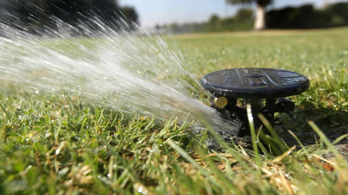 Irrigation district elections are set for Tuesday, Dec. 8.