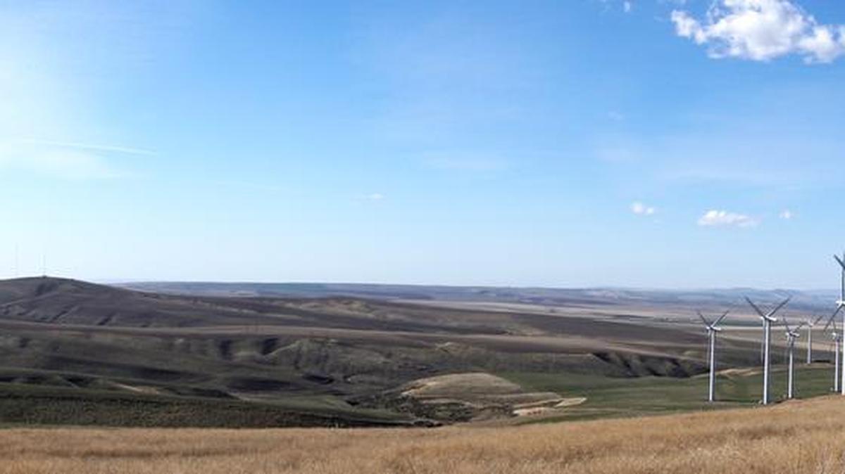 The Horse Heaven Wind Farm project will bring up to 600 megawatts (MW) of wind energy to the Tri-City region and the state of Washington.
