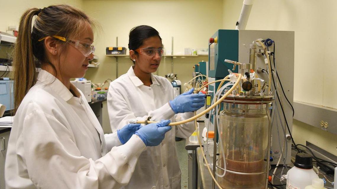 WSU Tri-Cities: Expanding higher education opportunities for serving the regional Tri-Cities