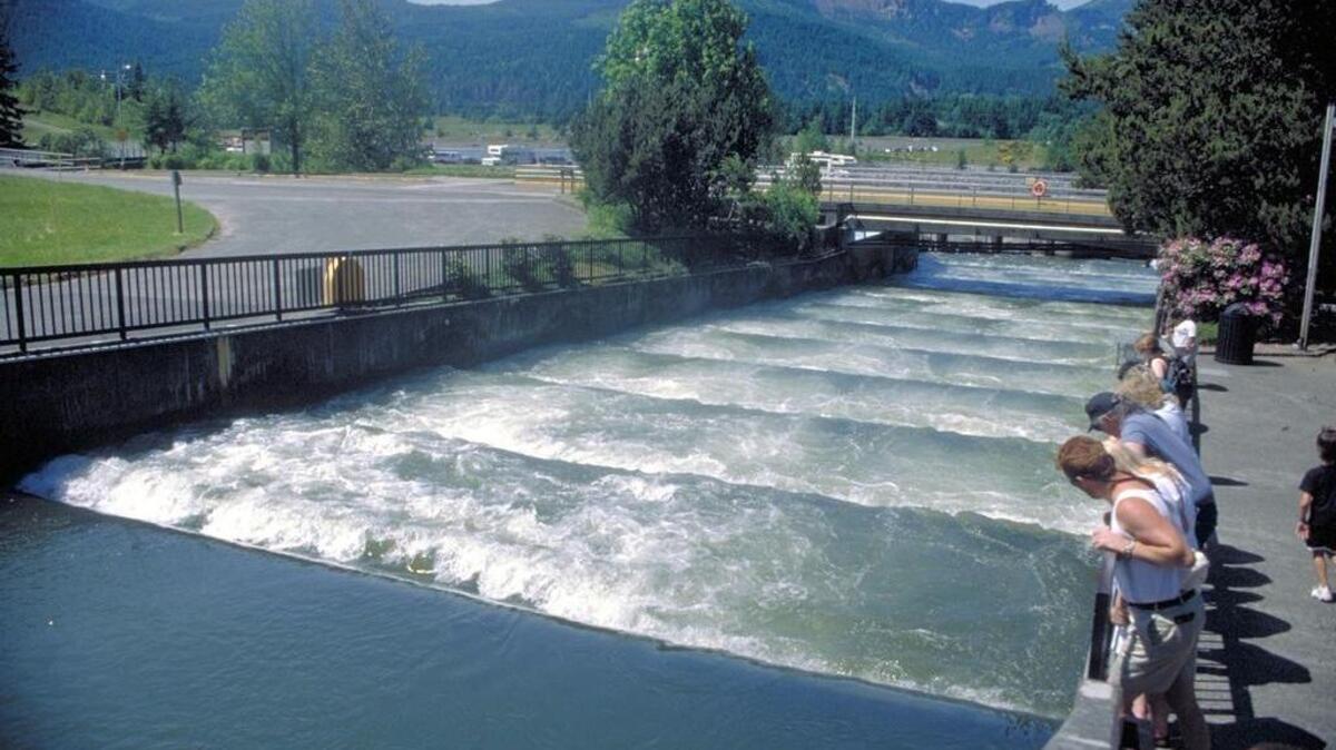 Fish ladders at Bonneville Dam.