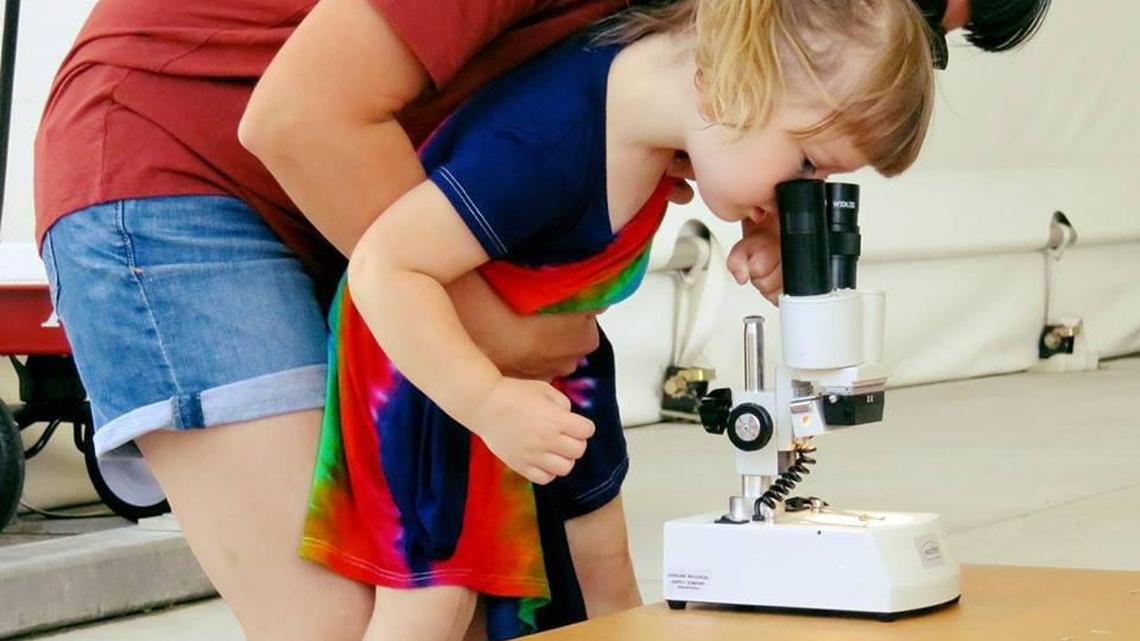The Reach Museum: An educational resource and cultural destination for all ages