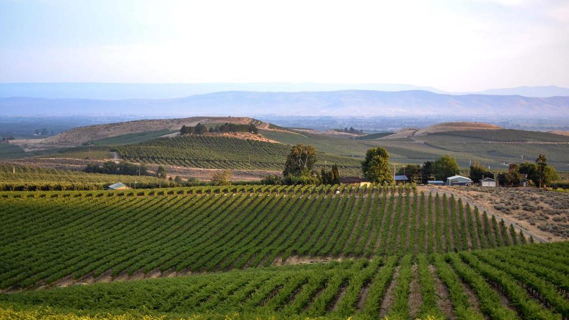 Washington State Wine Commission: Washington Sustainable - The Future of Wine