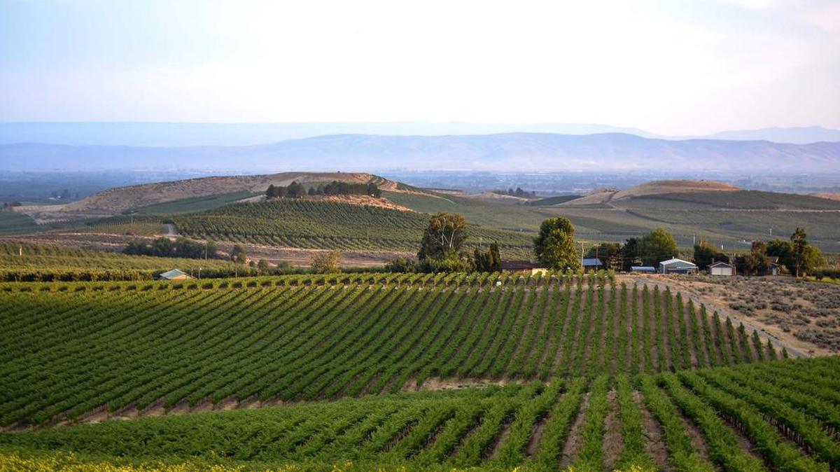 The Yakima Valley AVA.