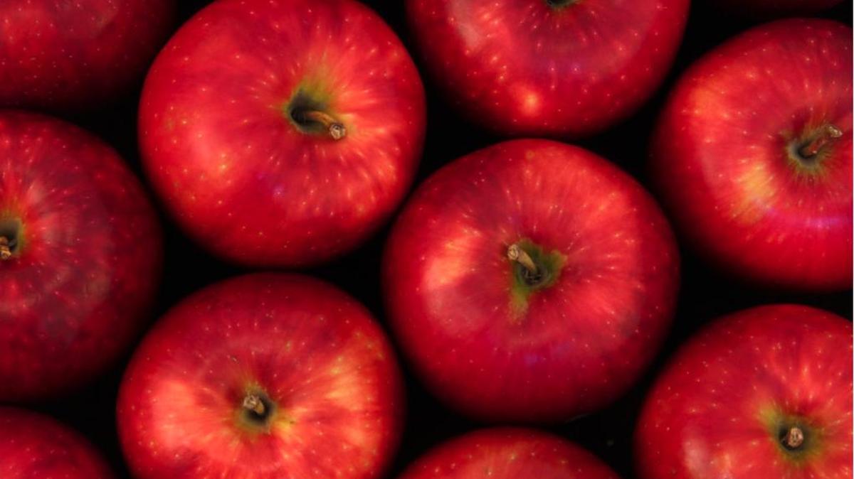 Washington’s new variety, the Cosmic Crisp.