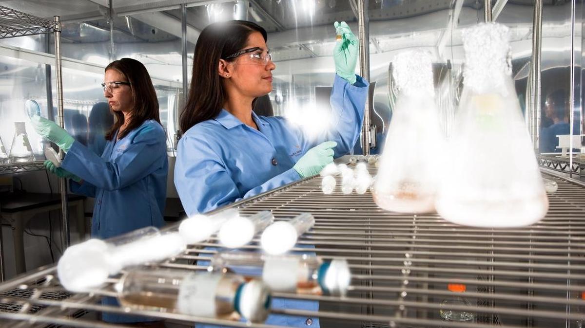 Pacific Northwest National Laboratory microbiologists Sarah Fansler (left) and Vanessa Bailey use instruments at PNNL’s Biological Sciences Facility to study microbes that typically live in soils. Drawing upon PNNL’s core capability in Biological Systems Science, scientists are gaining a fundamental understanding of biological systems to more effectively use microorganisms for renewable bioenergy and carbon management and to predict how carbon, chemicals and nutrients will move into groundwater.