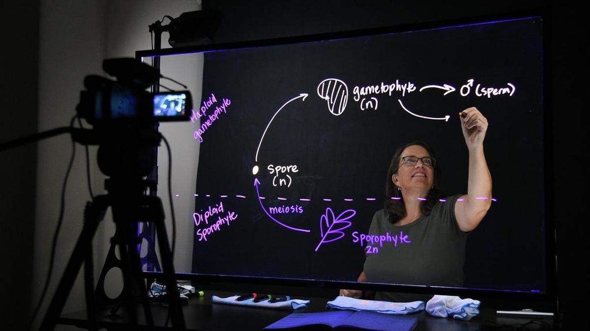 WSU Tri-Cities Assistant Professor of Biology Lori Nelson films a lesson that she now uses as part of her biology courses.