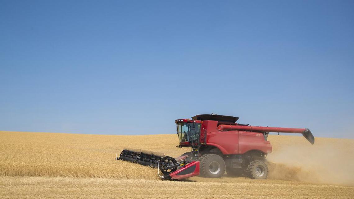 Washington Grain Commission: Virtual no substitute for face-to-face interactions