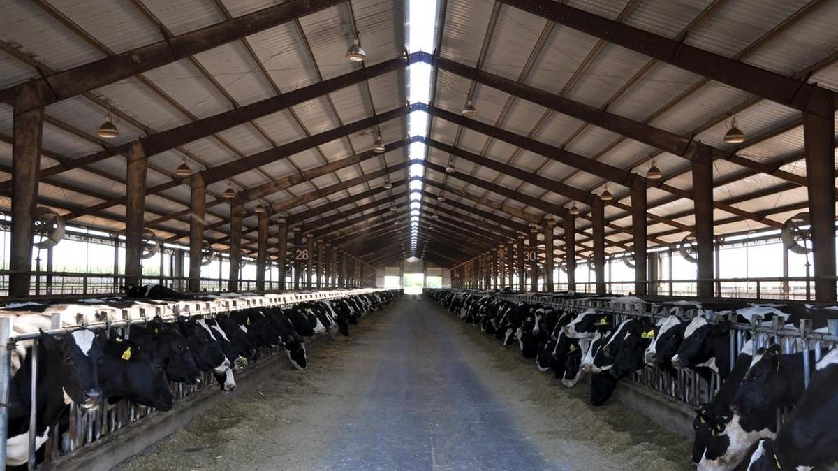 DeRuyter Brothers Dairy in Outlook is owned by Jake and Genny DeRuyter.