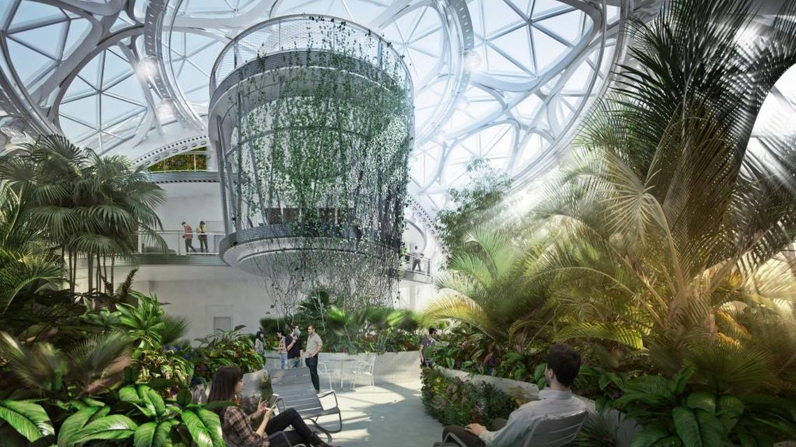 Amazon is giving nature to its workers