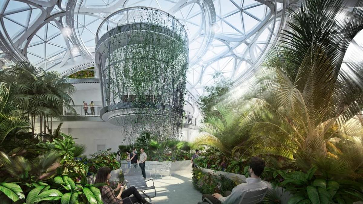 An interior rendering of the spheres at Amazon show what the Amazon jungle will eventually look like.