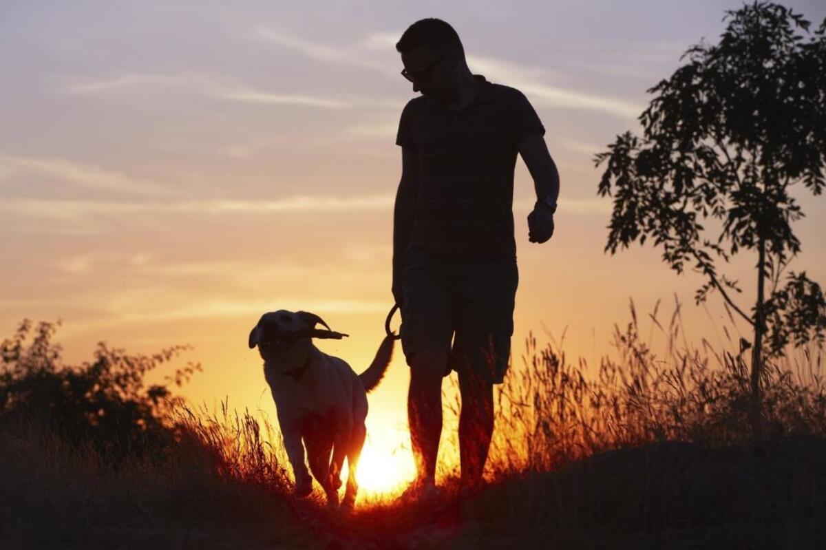 Summer means more time outdoors — but it also means a greater chance of encountering ticks, according to pest experts.