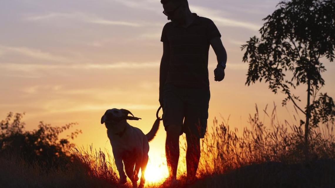 Faith | Her dog gives off good ‘vibes.’ Do we remember to do the same?