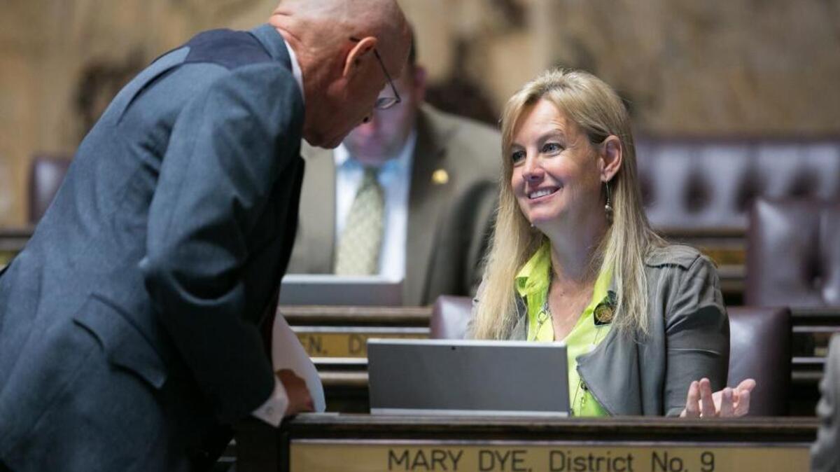 Washington State Rep. Mary Dye