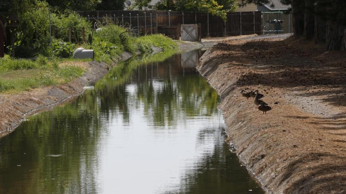 No KID water for lawns and crops for up to 10 days in May
