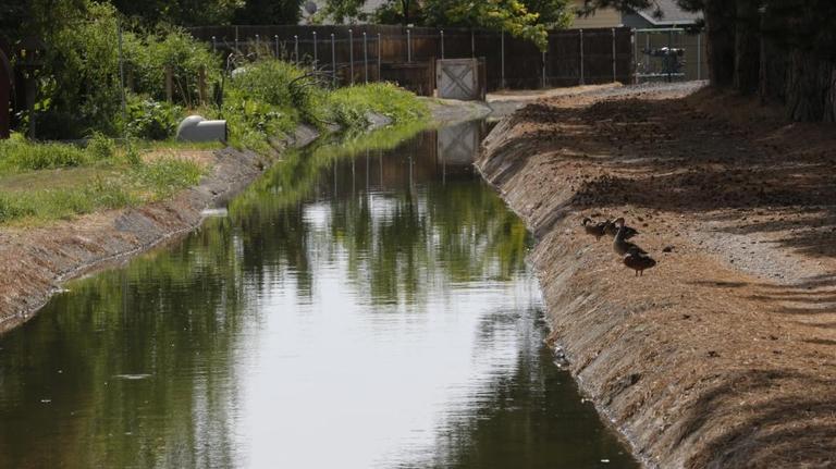 No KID water for lawns and crops for up to 10 days in May