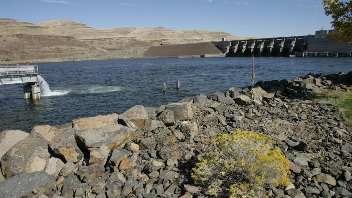 Snake River's Little Goose Dam.