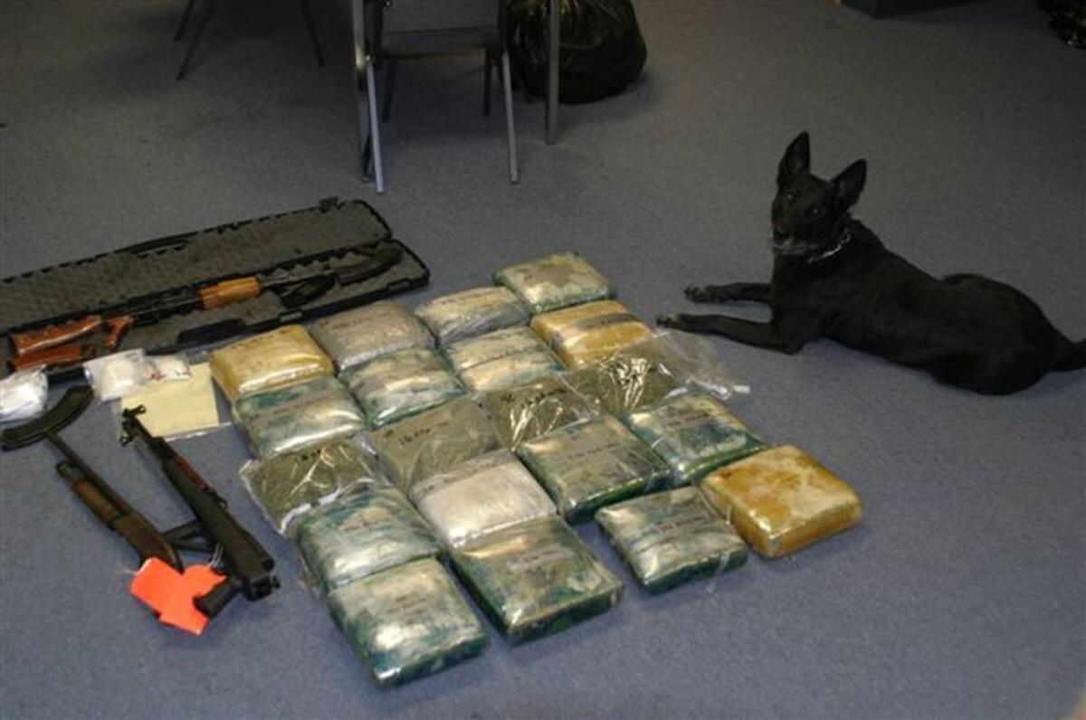 A drug-sniffing police dog sits near a stash of drugs and weapons seized by detectives with the Tri-City Metro Drug Task Force in 2009.