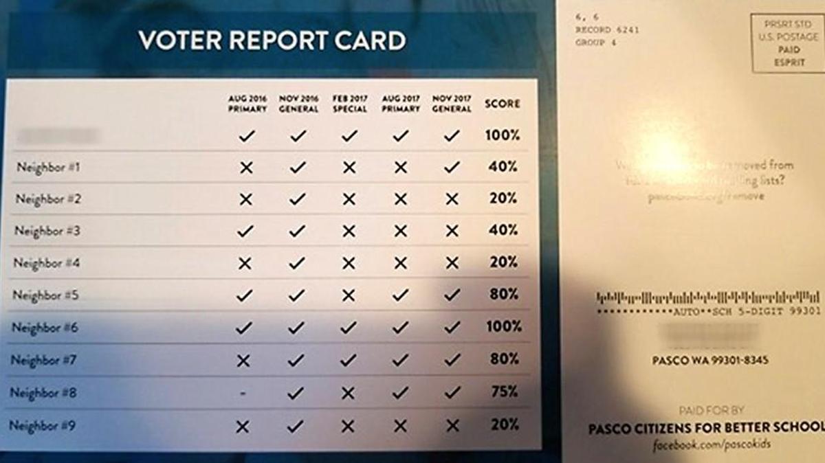 This is a sample of the mailer with names and address blurred for privacy. This one features one name and lists the records of nine “neighbors.” Other postcards from the citizen group were different.