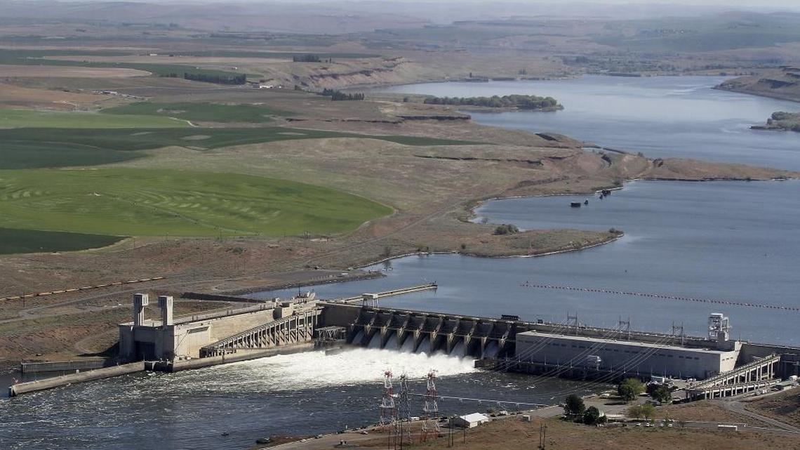 A joint federal and state look is planned at whether the benefits of Ice Harbor Dam near the Tri-Cities and three other lower Snake River dams could be reasonably replaced if the dams are breached.