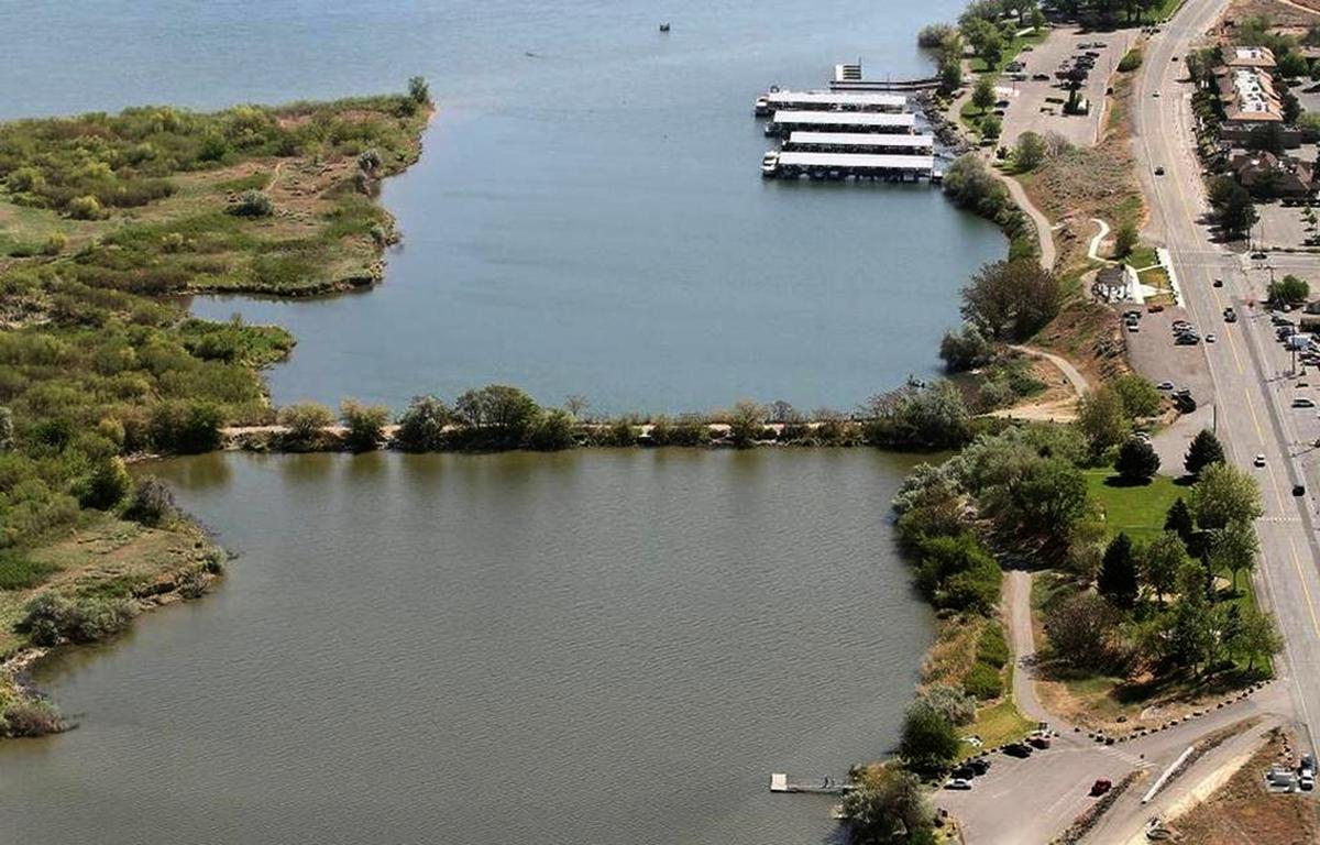 A U.S. Army Corps has been studying taking out the causeway to Bateman Island at the Yakima River delta in Richland to help salmon.