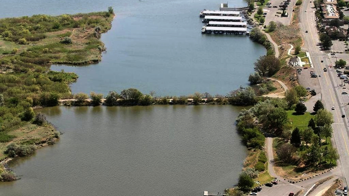 A U.S. Army Corps final study calls for taking out the causeway to Bateman Island on the Columbia River at Richland to help salmon. Access would be by boat.